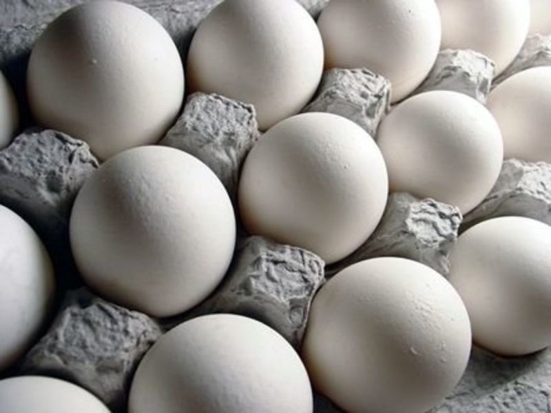 قیمت شانه تخم مرغی هرمی + خرید باور نکردنی
